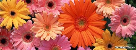 facebook cover photos flowers|beautiful flowers facebook cover photos.